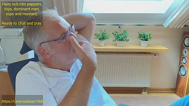 subbear1968n Webbikameraesitys