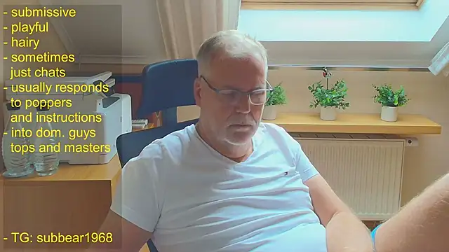 Pertunjukan Kamera Web subbear1968