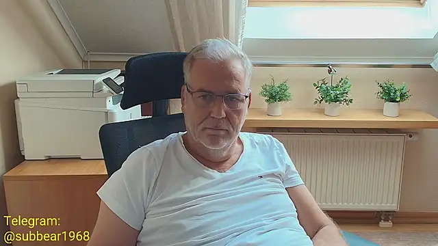 subbear1968 – webcam-show