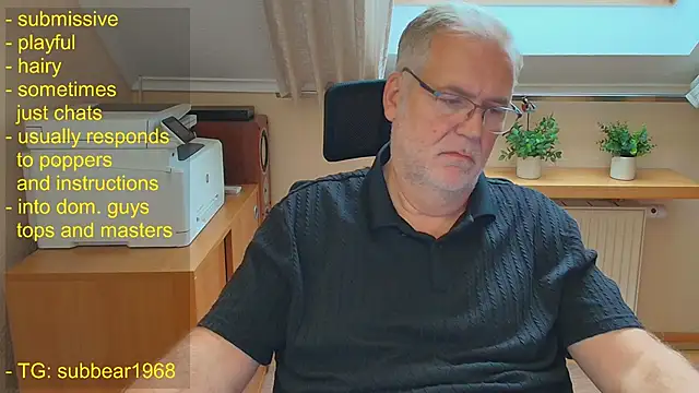Show modela subbear1968 na web-kameri
