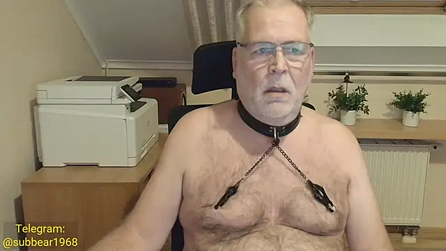 Pertunjukan Kamera Web subbear1968