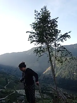 auro99 Pertunjukan Webcam