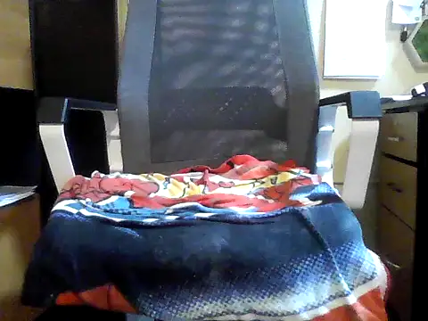 Robotnikm's Webcam Show