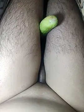 Sameerbottomboyn Webbikameraesitys