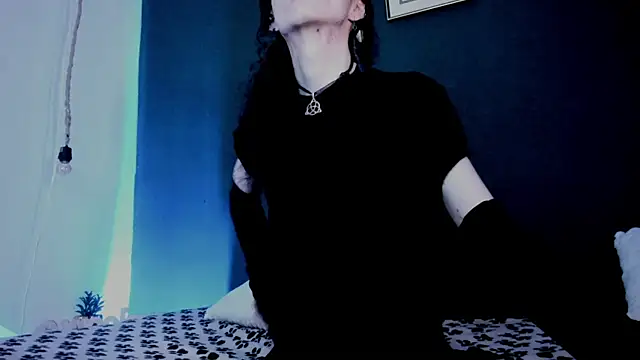 artcana Webcam-Show