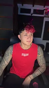 dylan_wels Show Webcam