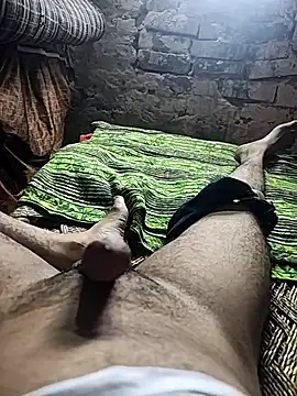 Show webcam de desi-desi-lund