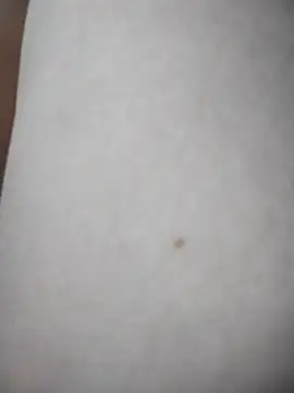 Cherry-squirtt Cameră chat live
