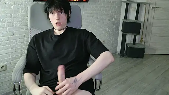 angelfearn Webbikameraesitys