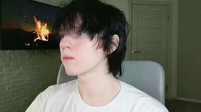 angelfearn Webbikameraesitys