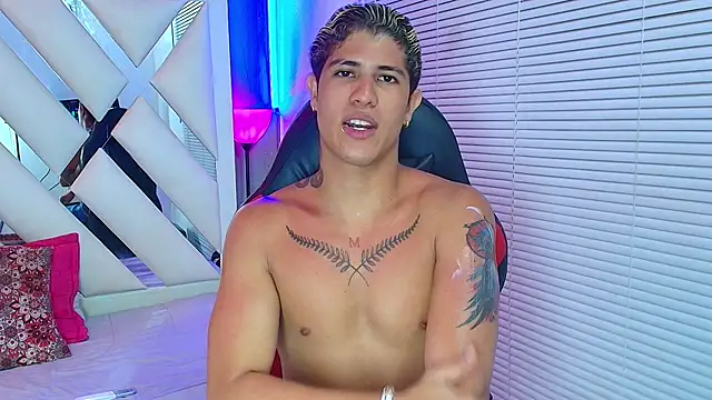 Show webcam de dominic_connor