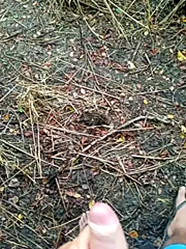 180gra – webcam-show