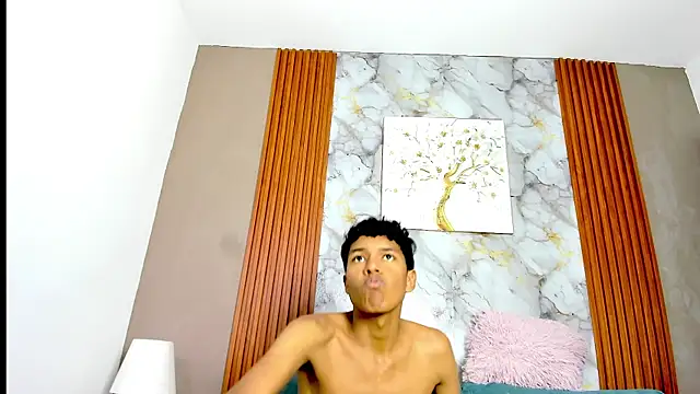 Show webcam de THREE_BLACK
