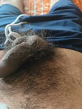Medium_dick69 웹캠 쇼