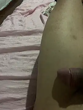 novinhointerior18cmn Webbikameraesitys