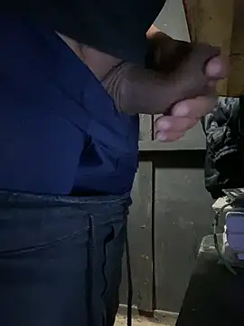SeuGuarda2001n Webbikameraesitys