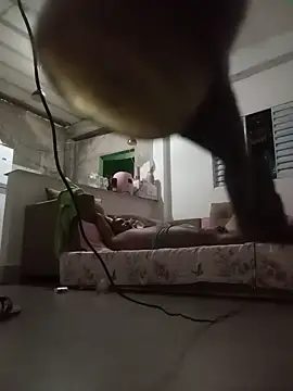 casalbiaejohn's Webcam Show