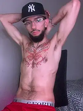 Show Webcam de masterxbros