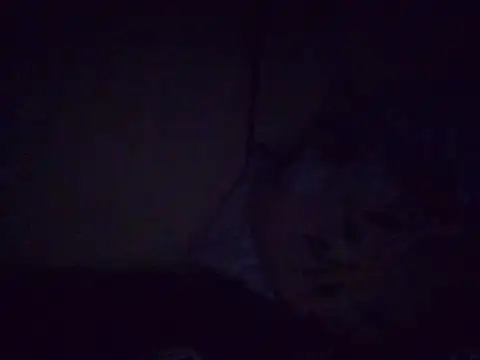 fatpusy002 Live Chatrum