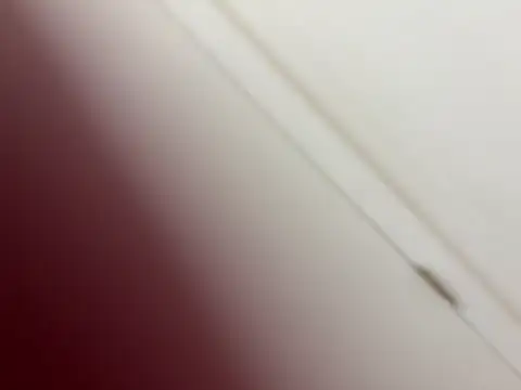 bigdick20101's Webcam Show