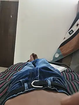 Show webcam de singalguy12