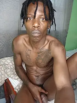 Show Webcam de Demohre