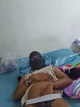 phalmerZ25n Webbikameraesitys