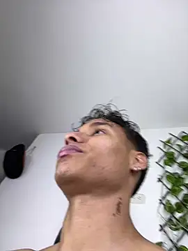 NelModel1 Show Webcam