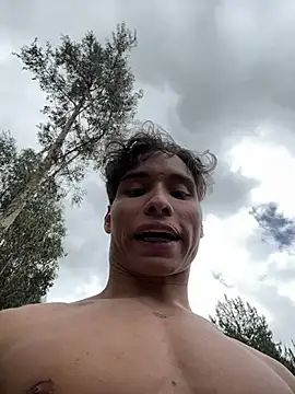 NelModel1n Webbikameraesitys