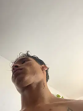 NelModel1 Show in webcam