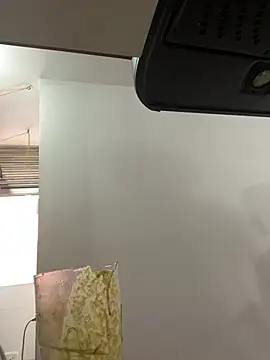 NelModel1 网络视讯表演