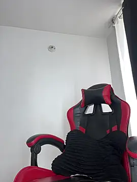 NelModel1 Show in webcam