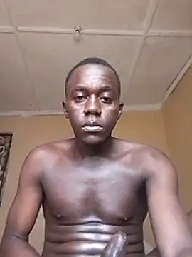 tonymalebo Webcam show