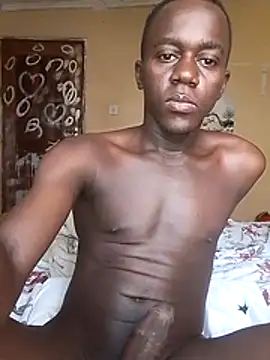 tonymalebon Webbikameraesitys