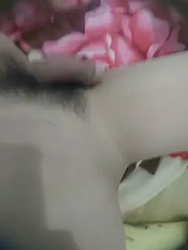 phhugp Pertunjukan Webcam