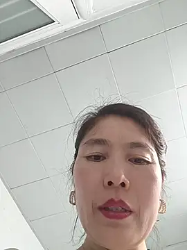 LL-001 Show Webcam