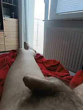 cordopl84 – Kamerová šou