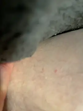 Marco111611n Webbikameraesitys