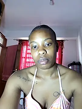 terrytashi Live Chatrum