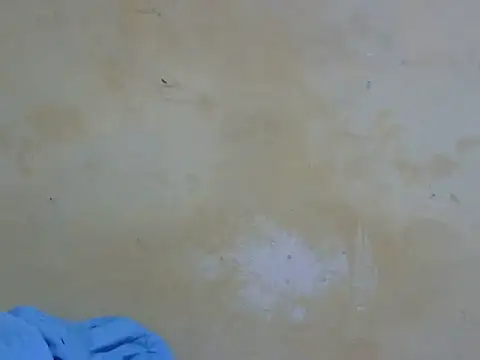 wet_pussy08 Cameră chat live