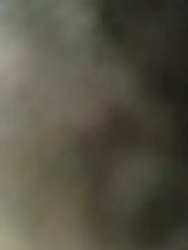 mem0069 Show in webcam