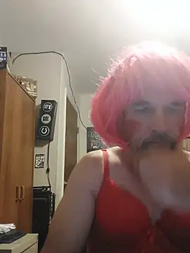 Show de webcam de icebergXpress