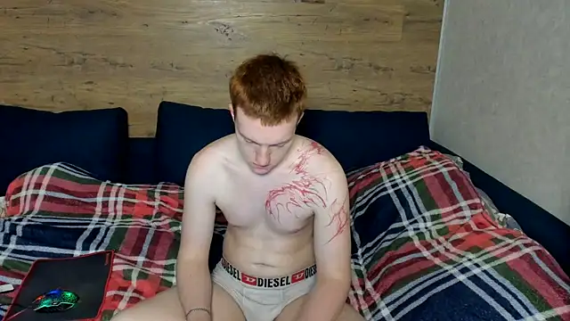 MillanRoycen Webbikameraesitys