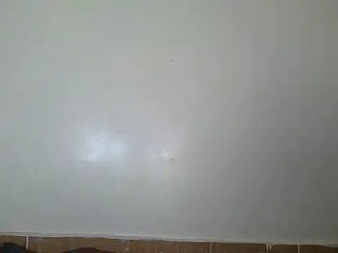 tasha7049 – live chatrum
