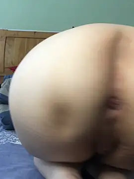 Show de webcam de tongfy