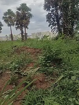 Telugu_Teenager_19 웹캠 쇼