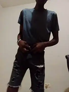 121inkboyn Webbikameraesitys