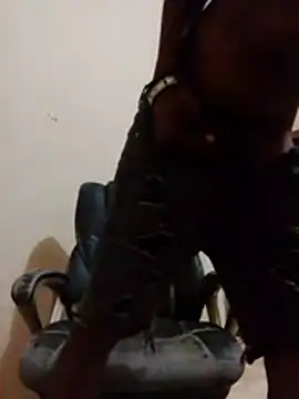 121inkboyn Webbikameraesitys