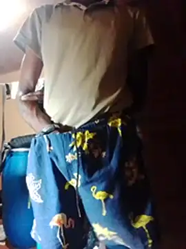 Show webcam de 121inkboy