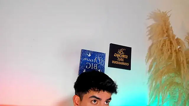 Show webcam de Vincent_Kane